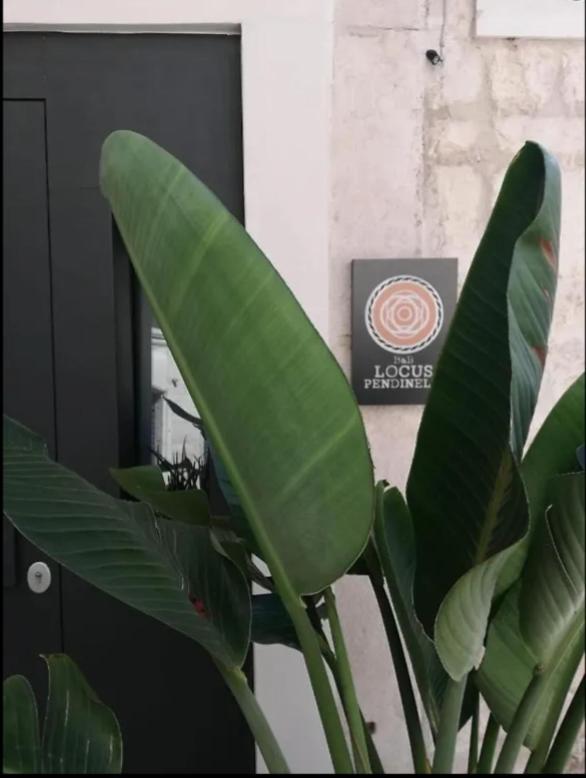 Locus Pendinelli Trani住宿加早餐旅馆 外观 照片